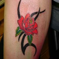 images/tats/tattoos_by_Gary_140.jpg